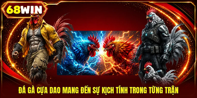 Đá gà cựa dao mang đến sự kịch tính trong từng trận