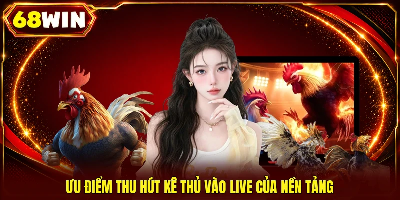 Ưu điểm thu hút kê thủ vào live của nền tảng